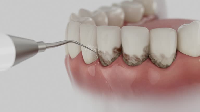 Reliable Dental contractor in Winnie, TX by Dentist Open Now